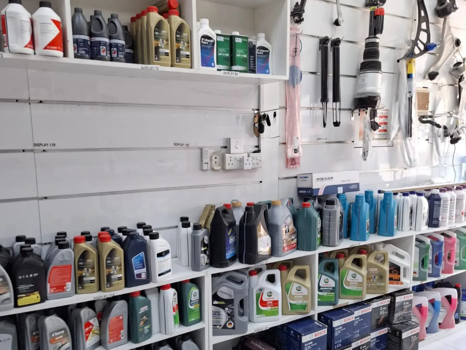 WhatsApp Image 2026-02-21 at 8.30.13 AM